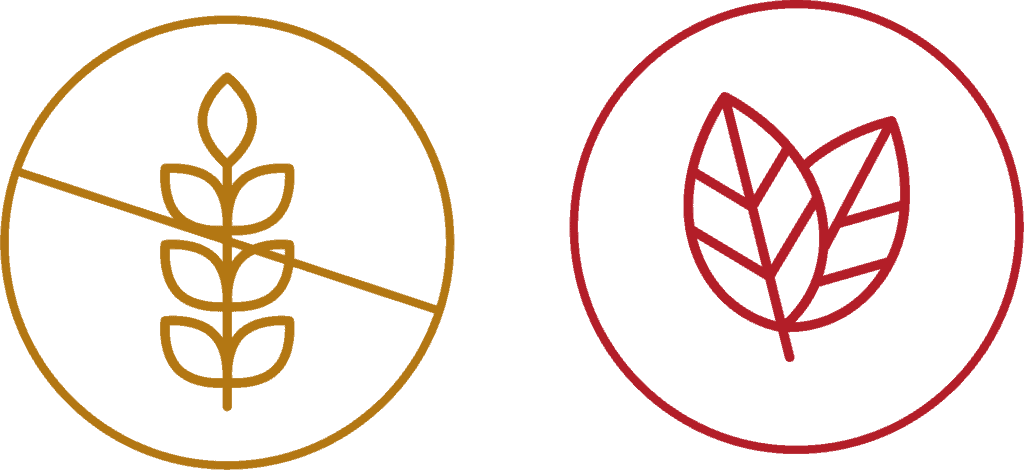 Gluten free and vegan icons a wheat leaf inside a circle with a diagonal line crossing it and 2 leafs inside a circle.